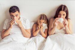 How Indoor Air Quality Affects Seasonal Allergies
